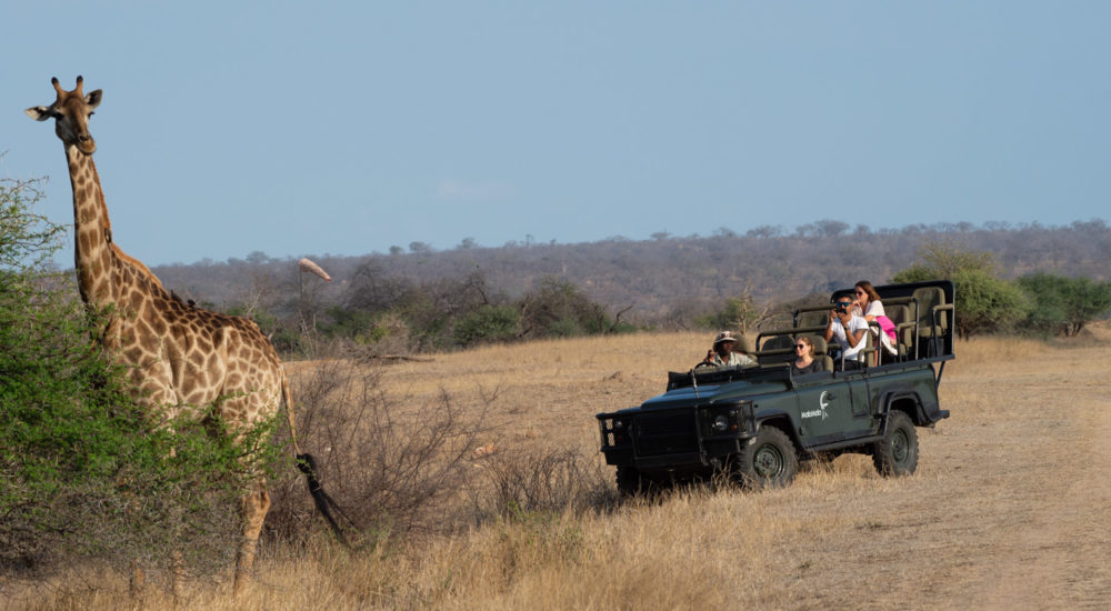 8 Day Cape Town & Kruger National Park